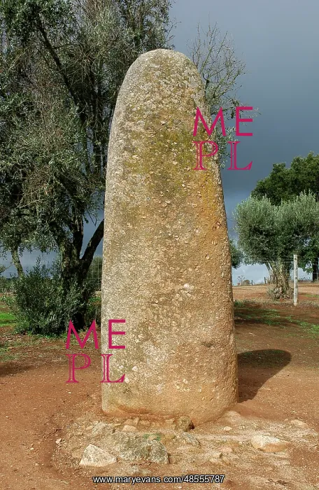: Almendres Cromlech. Megalithic complex. Neolithic. Near Evor : Almendres Cromlech. Megalithic complex. Neolithic. Near Evor