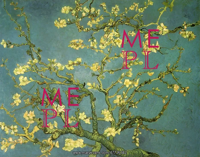 : Almond Branches Abloom, by Van Gogh : Almond Branches Abloom, by Van Gogh