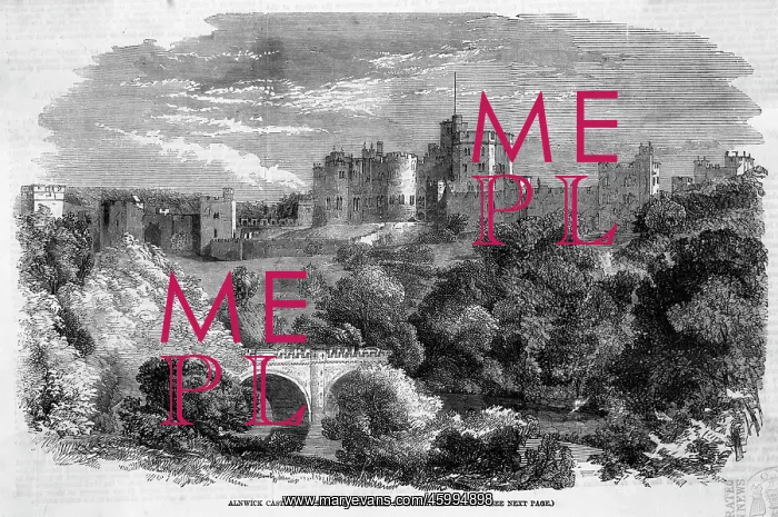 : ALNWICK CASTLE : ALNWICK CASTLE