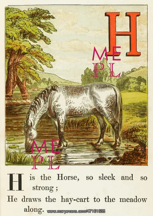  : ALPHABET / H FOR HORSE