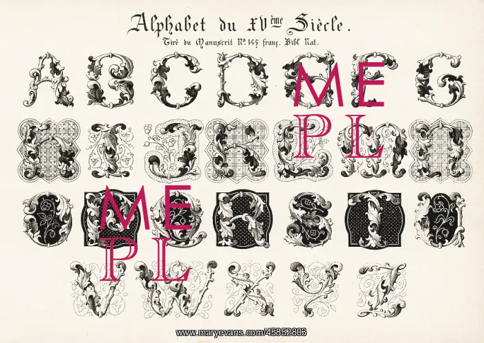 : Alphabet of initial letters in foliage from a : Alphabet of initial letters in foliage from a
