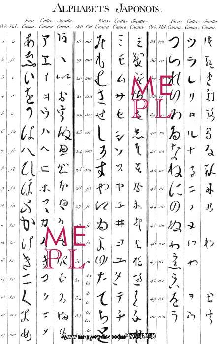 : ALPHABET & TYPOGRAPHY : ALPHABET & TYPOGRAPHY