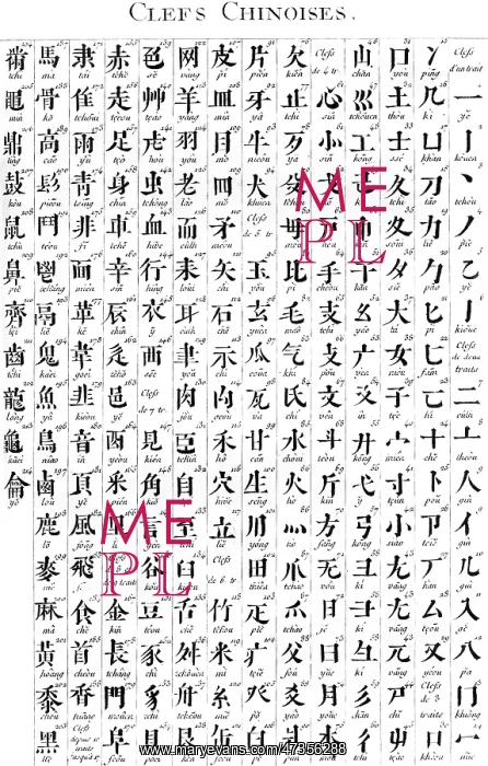 : ALPHABET & TYPOGRAPHY : ALPHABET & TYPOGRAPHY