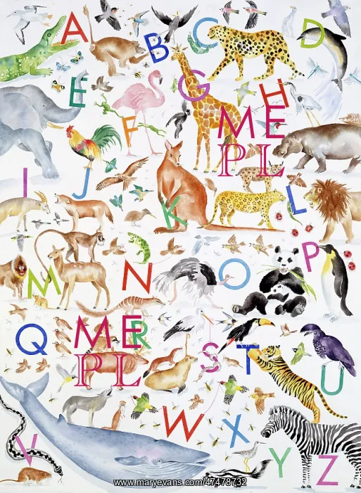 : Alphabetical Animals : Alphabetical Animals