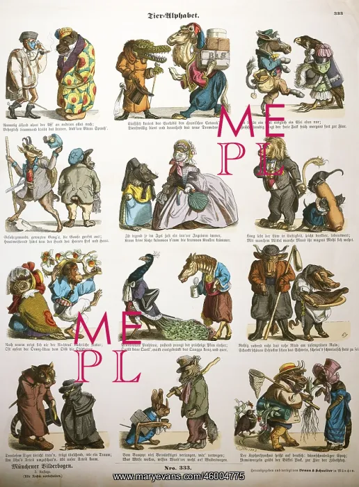 : Alphabets. Animal alphabet, lithograph, coloured from Munchner Bilderbogen, 1862 : Alphabets. Animal alphabet, lithograph, coloured from Munchner Bilderbogen, 1862