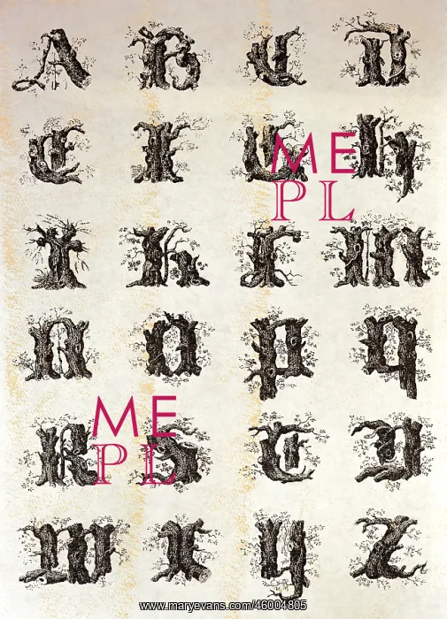  : Alphabets. Alphabet letters made of wood, by Joseph Balthazar Silvestre,