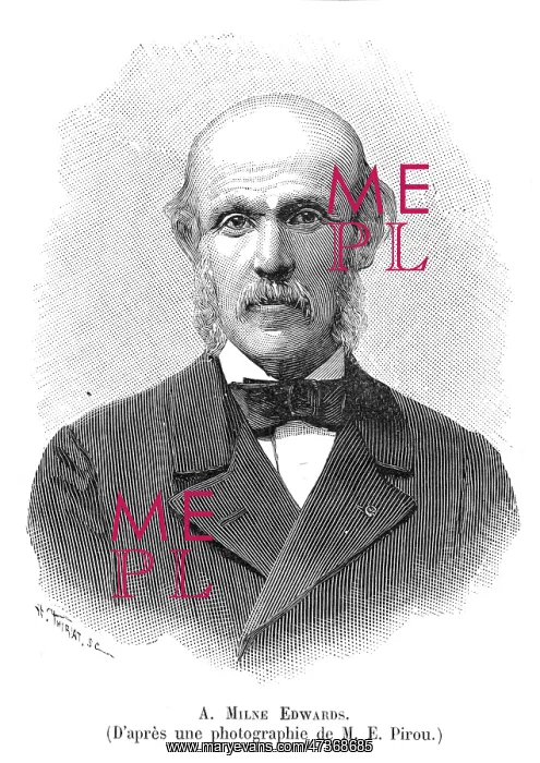  : ALPHONSE MILNE-EDWARDS