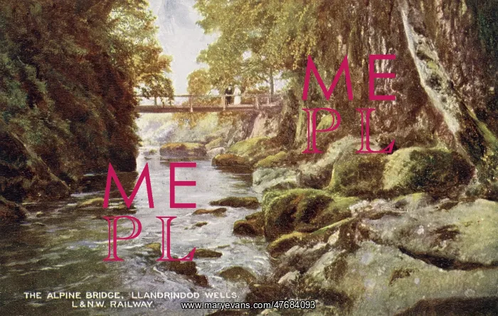  : Alpine Bridge over the stream, Llandrindod Wells, Wales