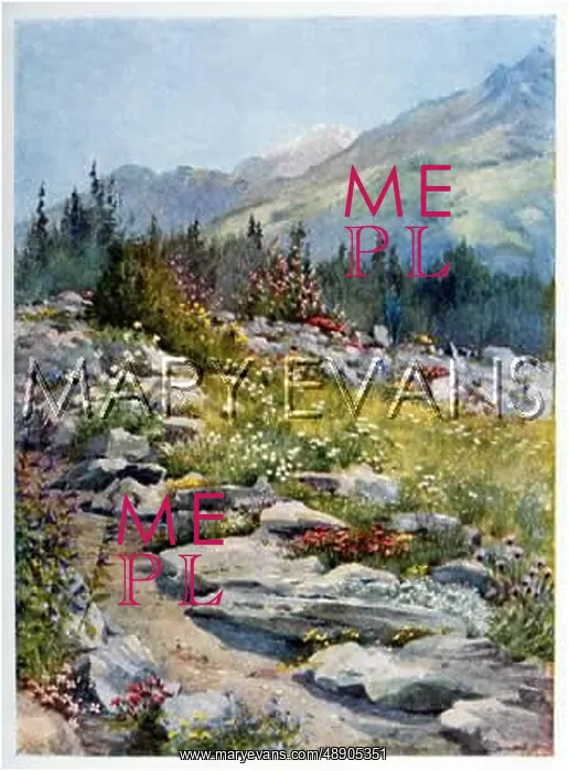 : ALPINE GARDEN : ALPINE GARDEN