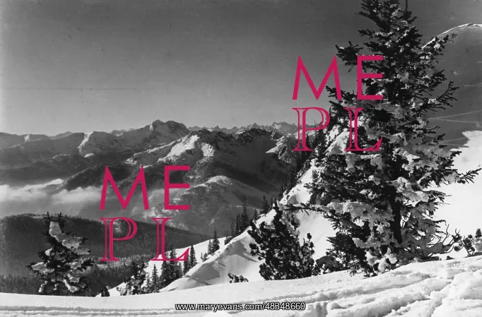 : Alpine panorama from the Rotwand, around 1910 : Alpine panorama from the Rotwand, around 1910