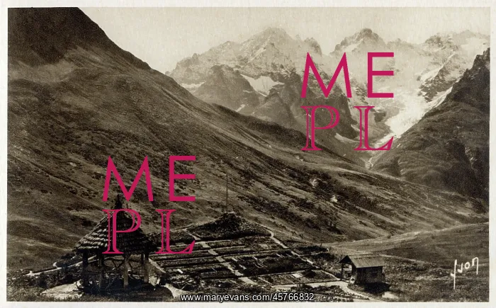 : The Alps - Col de Lautaret and Alpine Garden : The Alps - Col de Lautaret and Alpine Garden
