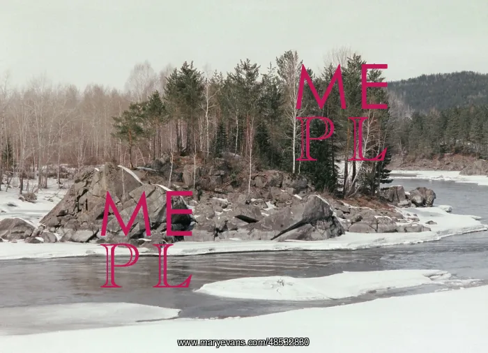 : Altai Mountains nature, 1991 : Altai Mountains nature, 1991