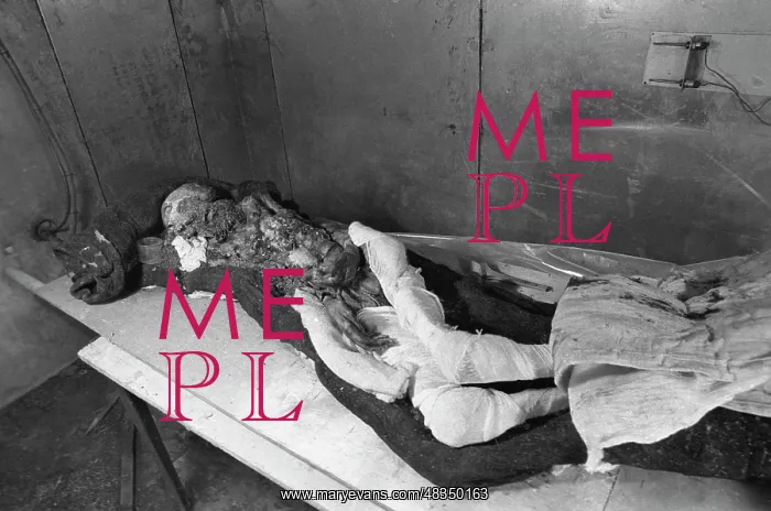 : Altai mummy : Altai mummy