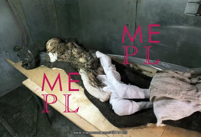 : Altai mummy : Altai mummy