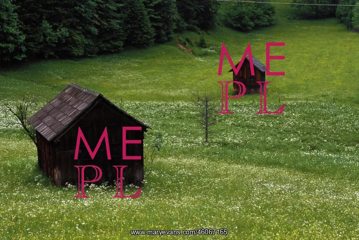 : Altaussee. Cabins in the meadow at Altaussee. Styria. Photograph. Around 2000 : Altaussee. Cabins in the meadow at Altaussee. Styria. Photograph. Around 2000