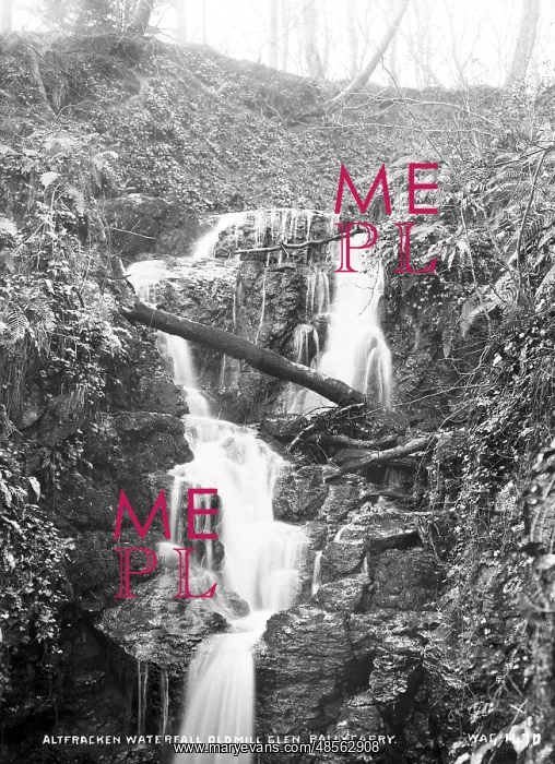 : Altfracken Waterfall, Oldmill Glen, Ballycarry : Altfracken Waterfall, Oldmill Glen, Ballycarry
