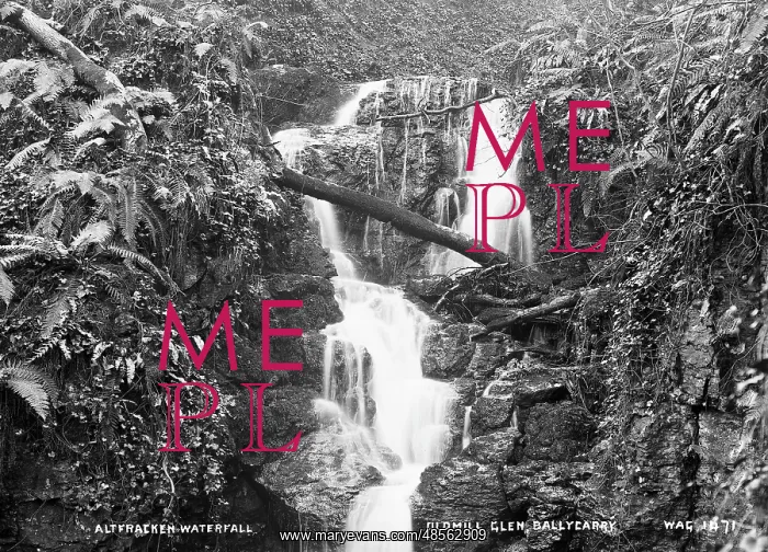 : Altfracken Waterfall, Oldmill Glen, Ballycarry : Altfracken Waterfall, Oldmill Glen, Ballycarry