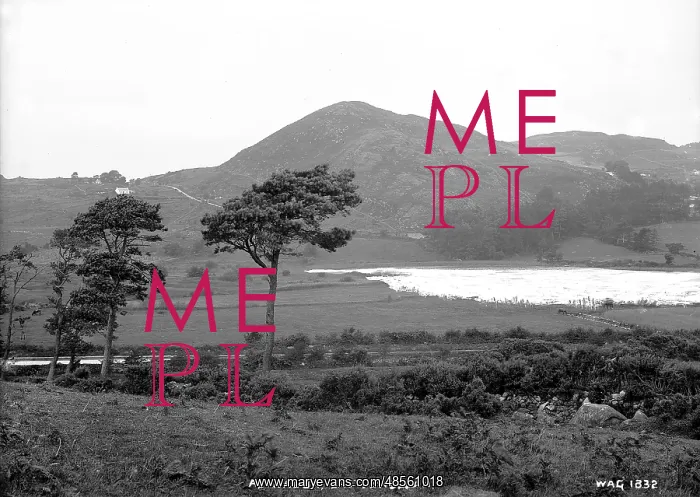 : Altnadua, Castlewellan : Altnadua, Castlewellan