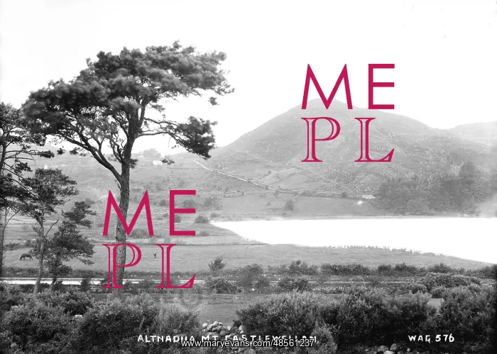 : Altnadua Mt, Castlewellan : Altnadua Mt, Castlewellan