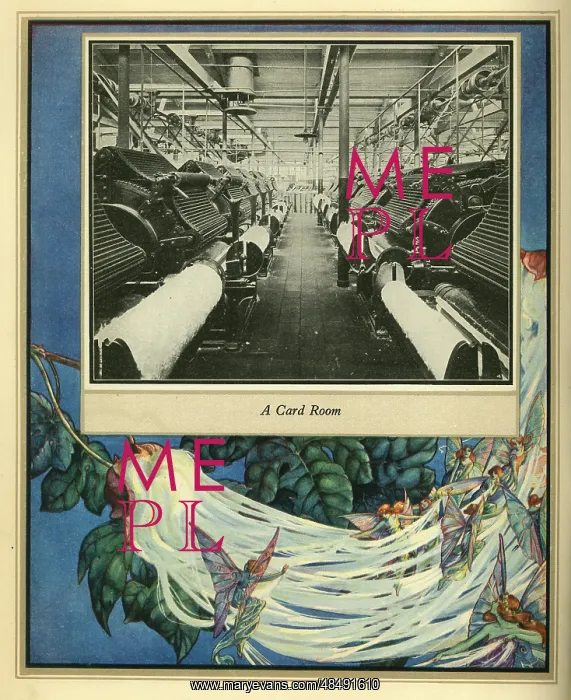  : Amalgamated Cotton Mills Trust Ltd, 1920