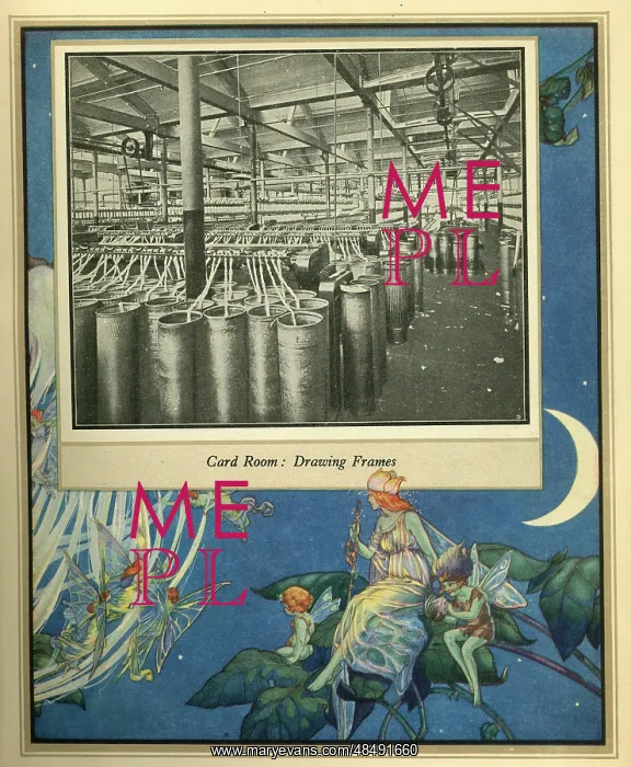  : Amalgamated Cotton Mills Trust Ltd, 1920