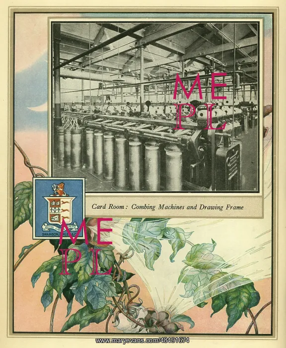 : Amalgamated Cotton Mills Trust Ltd, 1920 : Amalgamated Cotton Mills Trust Ltd, 1920