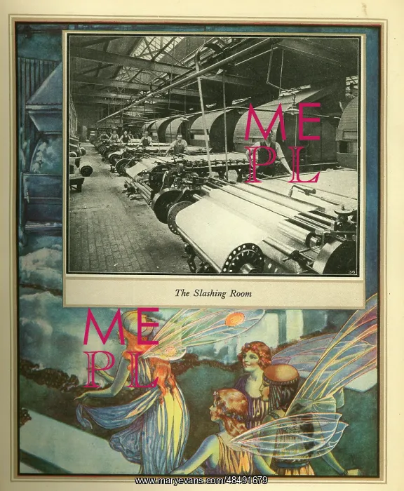  : Amalgamated Cotton Mills Trust Ltd, 1920