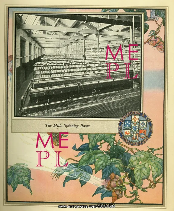  : Amalgamated Cotton Mills Trust Ltd, 1920