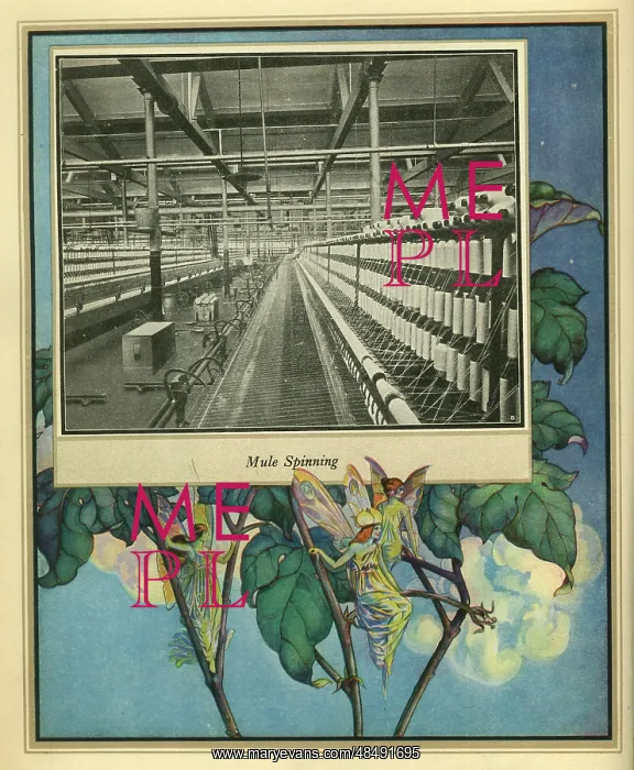  : Amalgamated Cotton Mills Trust Ltd, 1920