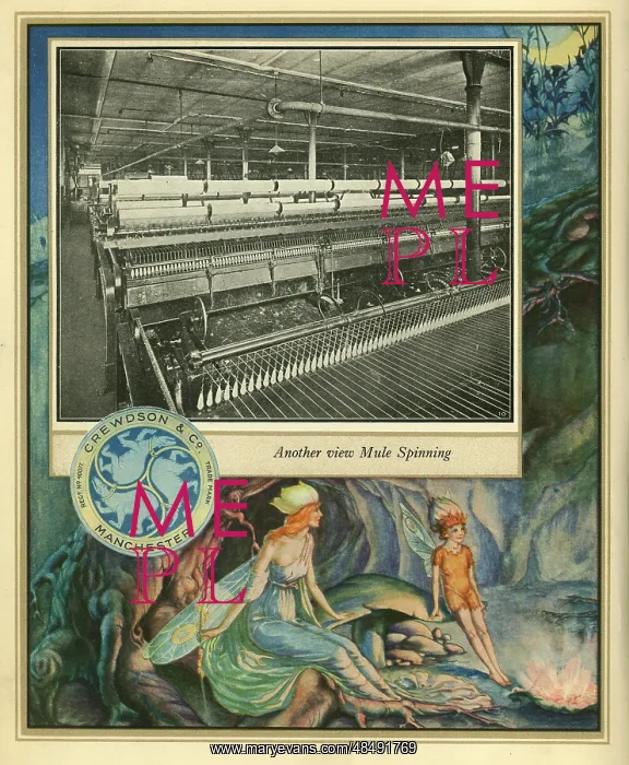 : Amalgamated Cotton Mills Trust Ltd, 1920 : Amalgamated Cotton Mills Trust Ltd, 1920