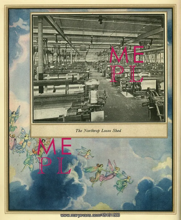  : Amalgamated Cotton Mills Trust Ltd, 1920