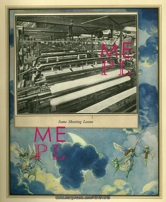  : Amalgamated Cotton Mills Trust Ltd, 1920