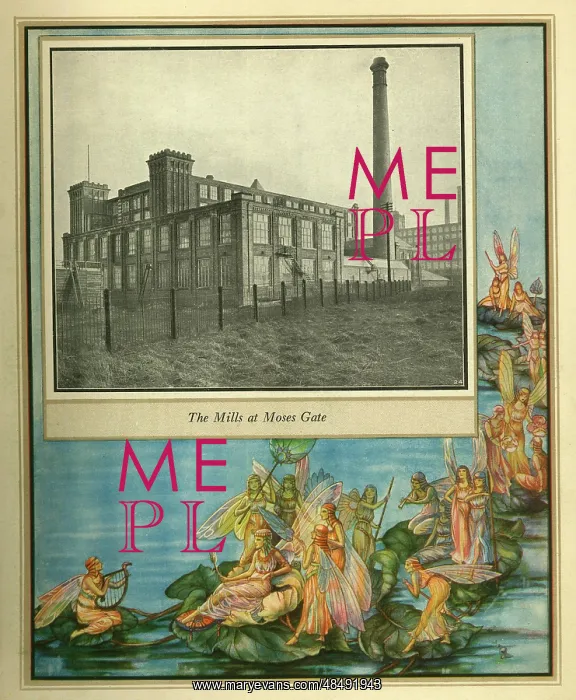  : Amalgamated Cotton Mills Trust Ltd, 1920