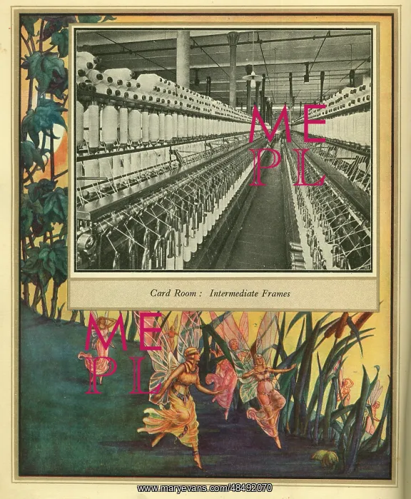 : Amalgamated Cotton Mills Trust Ltd, 1920 : Amalgamated Cotton Mills Trust Ltd, 1920