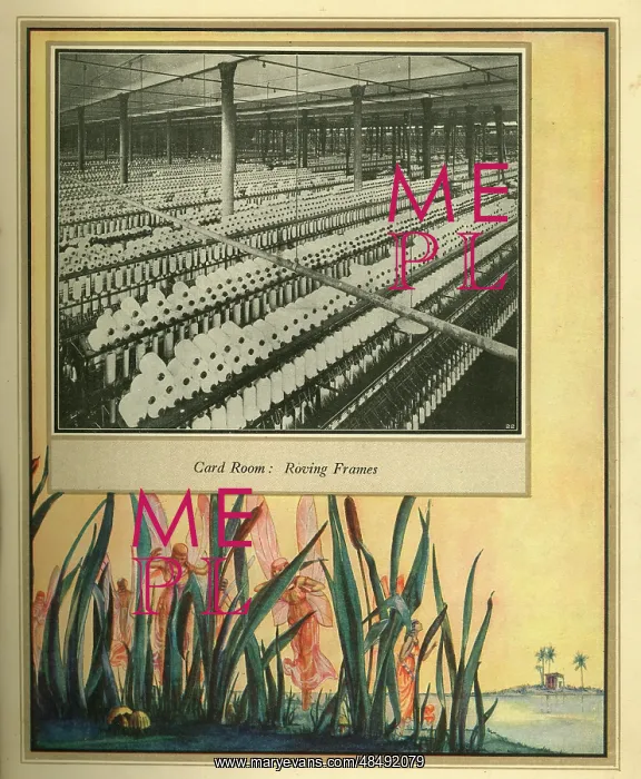  : Amalgamated Cotton Mills Trust Ltd, 1920