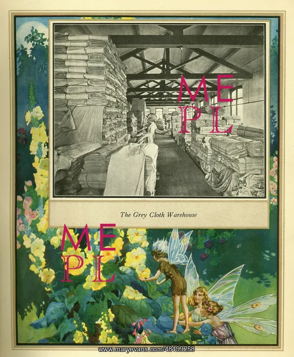  : Amalgamated Cotton Mills Trust Ltd, 1920
