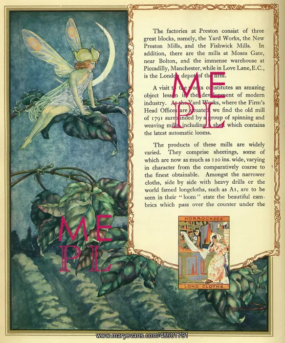  : Amalgamated Cotton Mills Trust Ltd, 1920