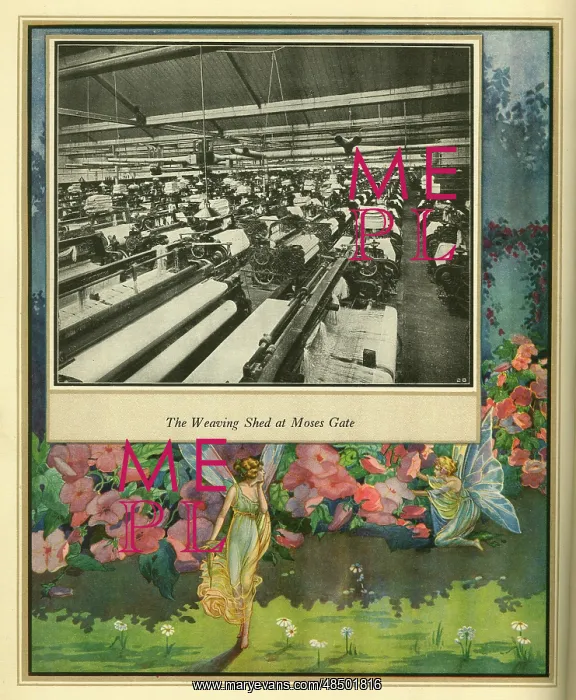 : Amalgamated Cotton Mills Trust Ltd, 1920 : Amalgamated Cotton Mills Trust Ltd, 1920