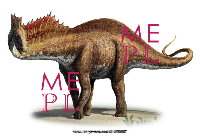 : Amargasaurus cazaui, a prehistoric era dinosaur