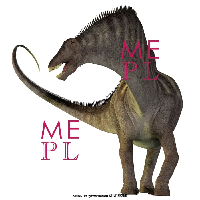 : Amargasaurus dinosaur : Amargasaurus dinosaur