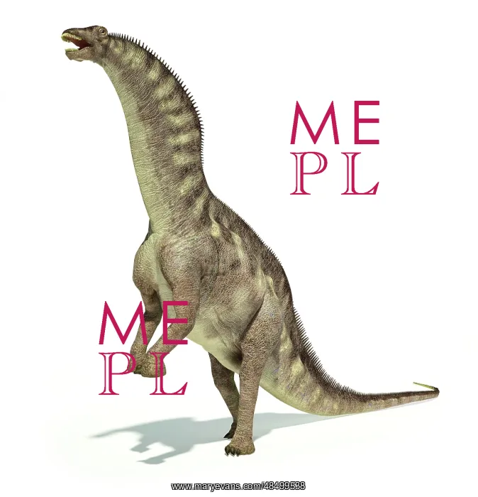 : Amargasaurus dinosaur in dynamic posture : Amargasaurus dinosaur in dynamic posture