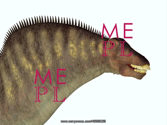 : Amargasaurus dinosaur portrait : Amargasaurus dinosaur portrait