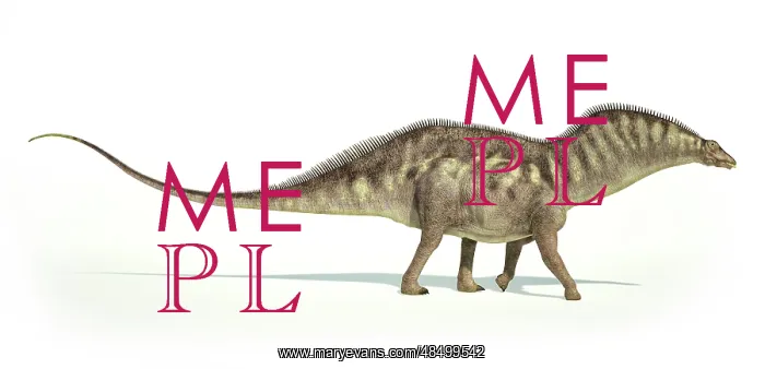 : Amargasaurus dinosaur on white background : Amargasaurus dinosaur on white background
