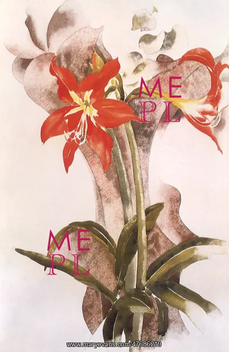 : Amaryllis : Amaryllis