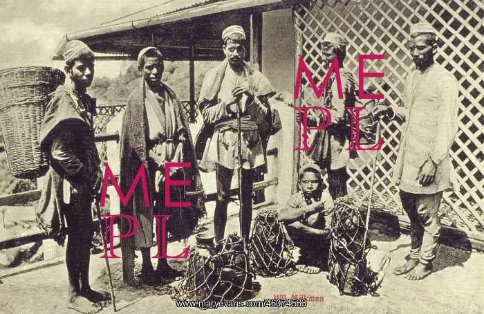 : Ambala - Hill Milkmen : Ambala - Hill Milkmen