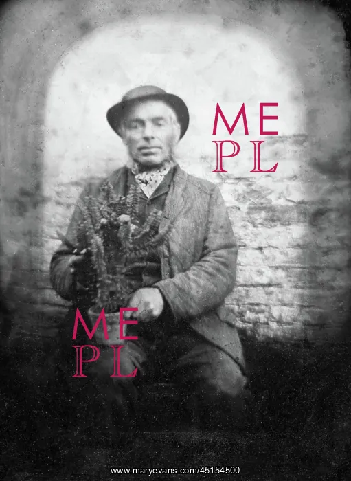  : Ambrotype - Gardener