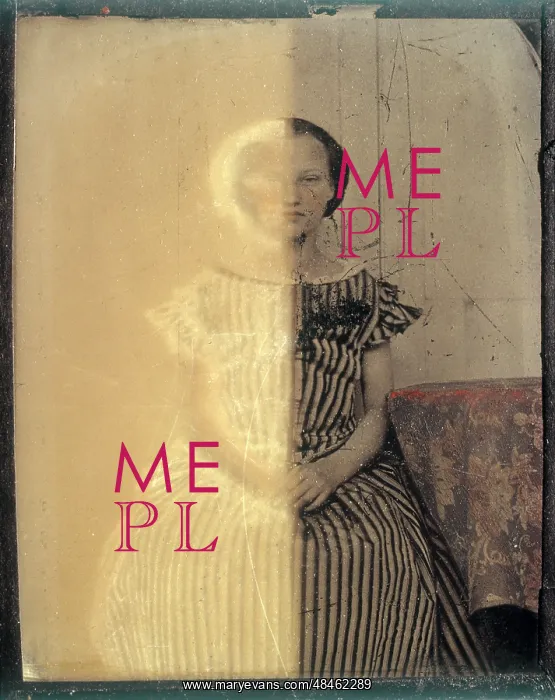 : Ambrotype Photographic Plate : Ambrotype Photographic Plate