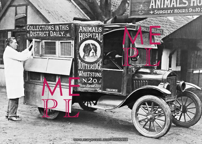 : Ambulance for animals, 1924 : Ambulance for animals, 1924