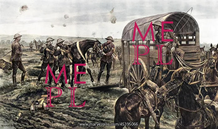 : Ambulance for wounded horses, World War One : Ambulance for wounded horses, World War One