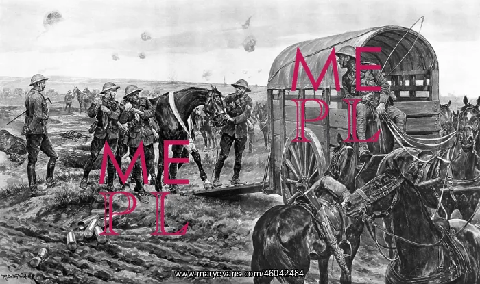 : Ambulance for wounded horses, World War One : Ambulance for wounded horses, World War One